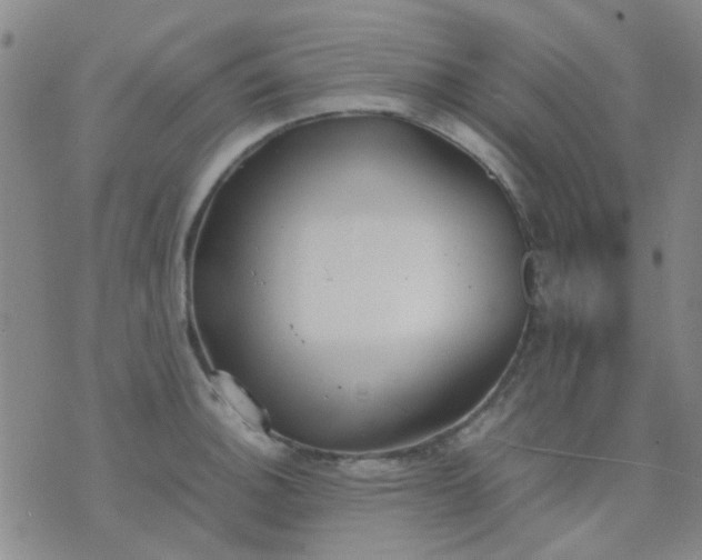 X0000074311140200609081936