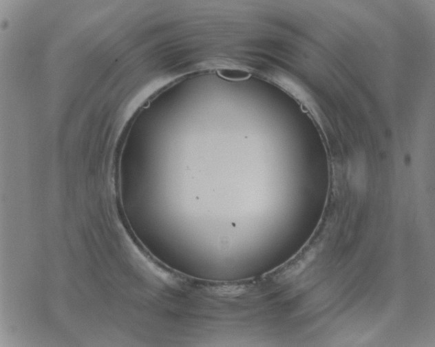 X0000074311141200609081936