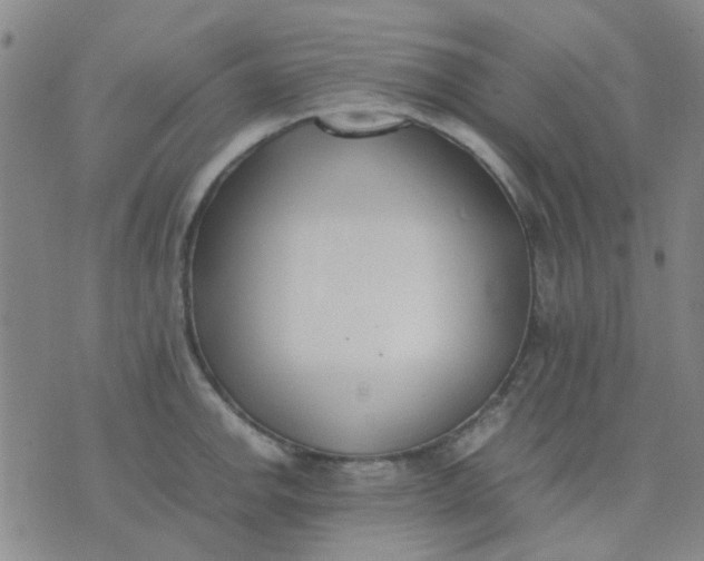 X0000074311142200609081936