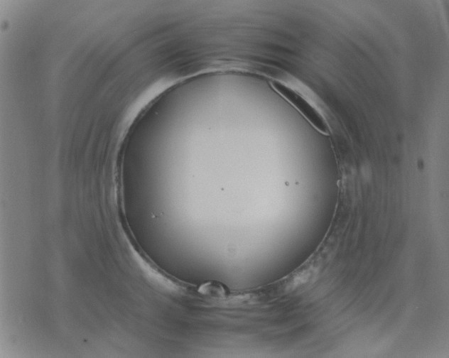 X0000074311143200609081936