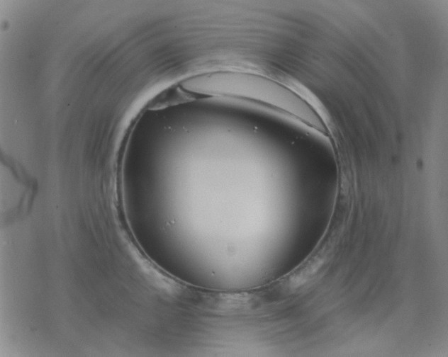 X0000074311144200609081936