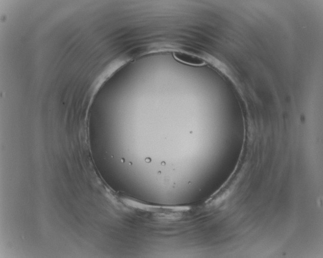 X0000074311145200609081936