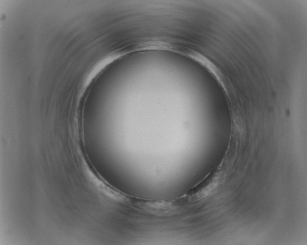 X0000074311147200609081936