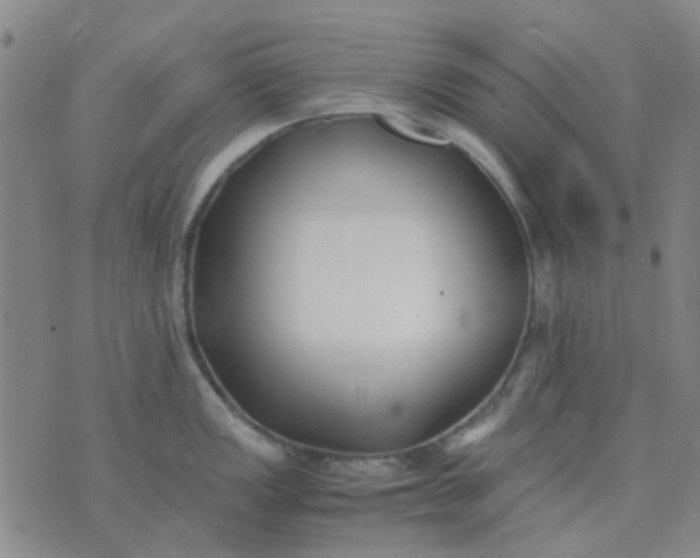 X0000074311149200609081936