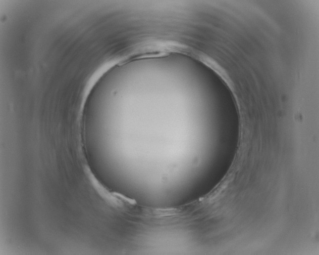 X0000074311152200609081936