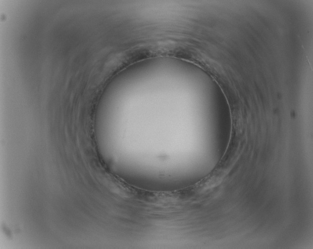 X0000074311153200609081935