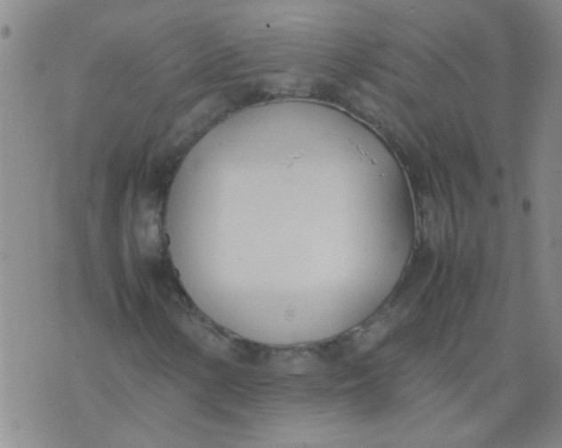 X0000074311154200609081935