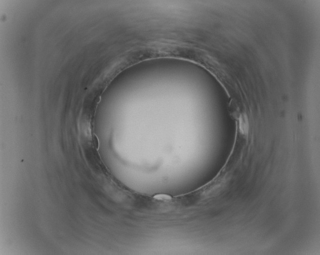 X0000074311155200609081935