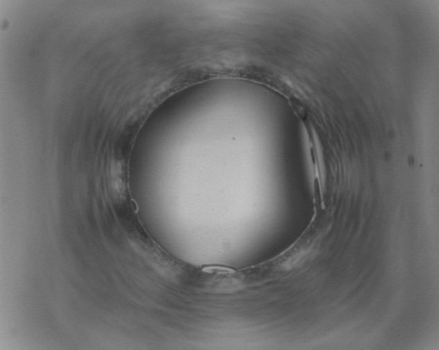 X0000074311156200609081935