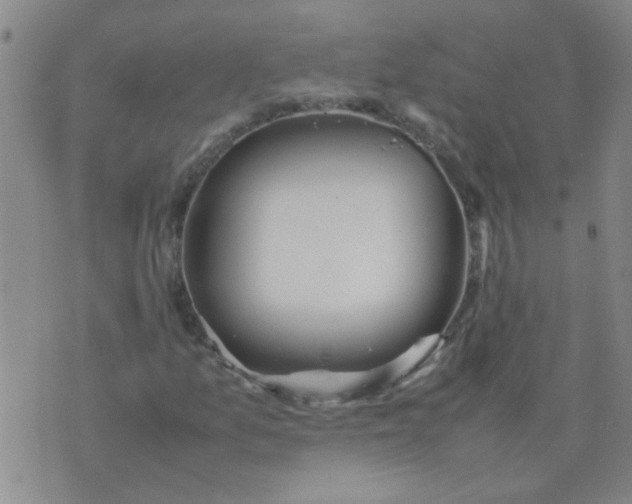 X0000074311157200609081935