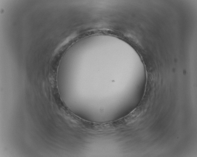 X0000074311159200609081935