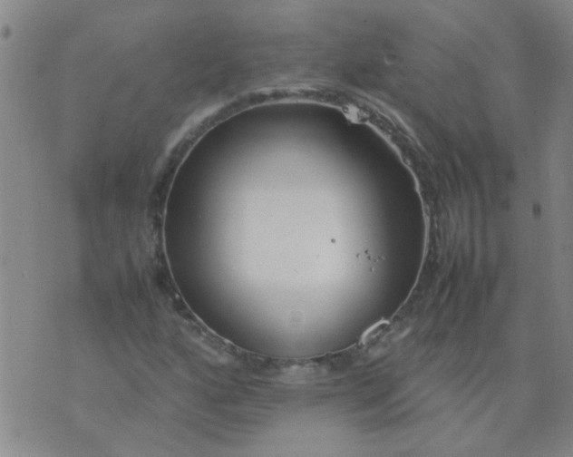 X0000074311160200609081935