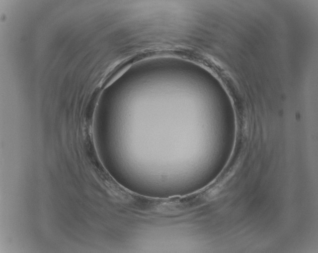 X0000074311161200609081935