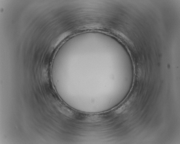 X0000074311162200609081935