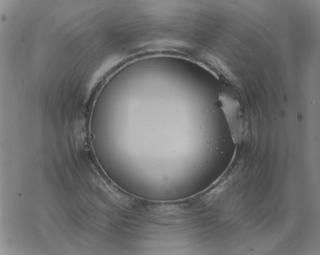 X0000074311164200609081935