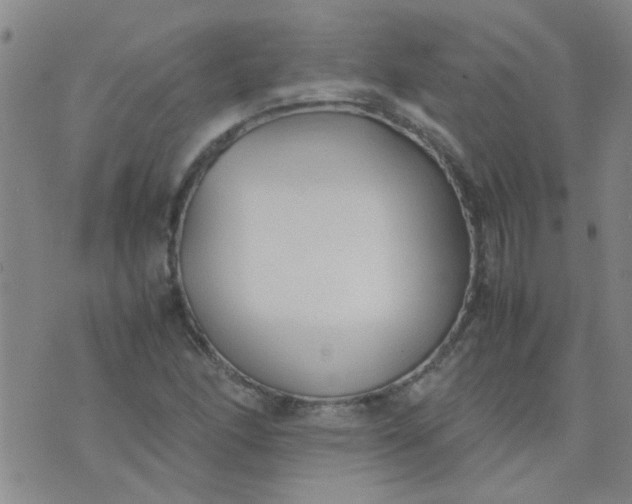 X0000074311166200609081935