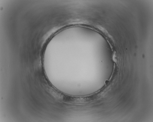 X0000074311167200609081935