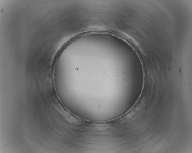 X0000074311168200609081935