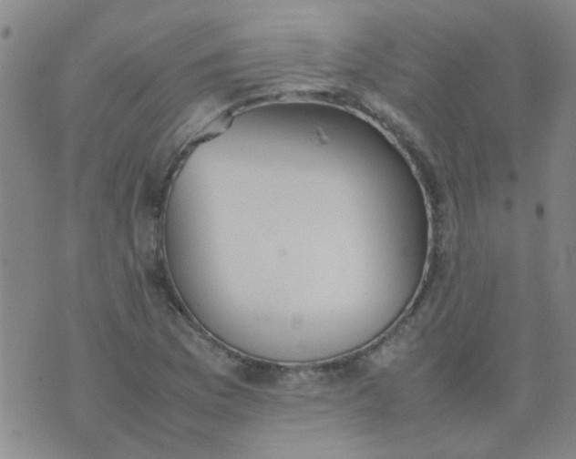 X0000074311169200609081935