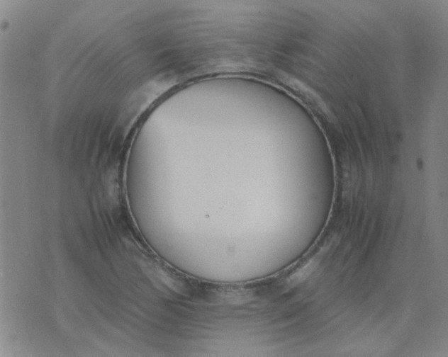 X0000074311170200609081935