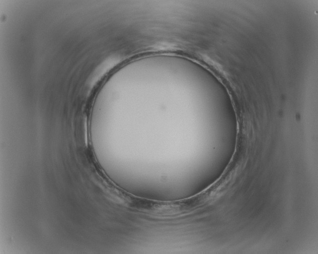 X0000074311171200609081935