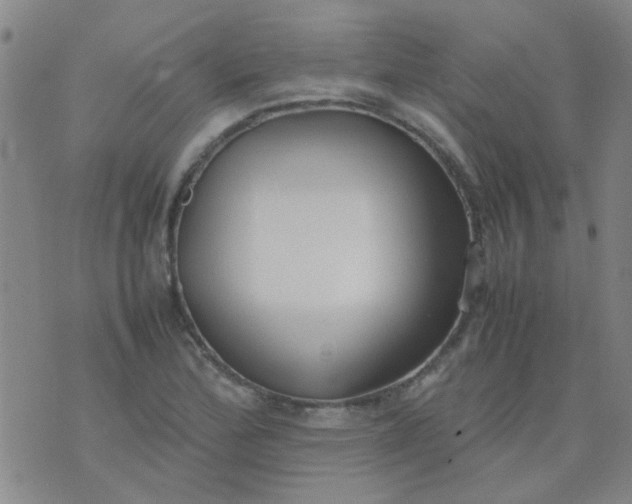 X0000074311172200609081935