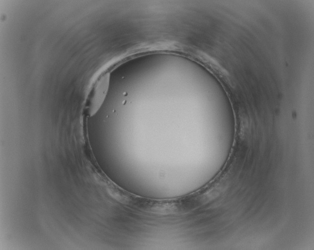 X0000074311174200609081935