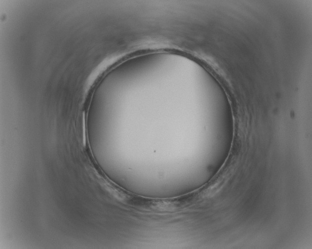 X0000074311175200609081935