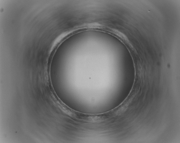 X0000074311176200609081935