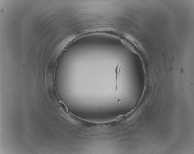 X0000074311177200609081935