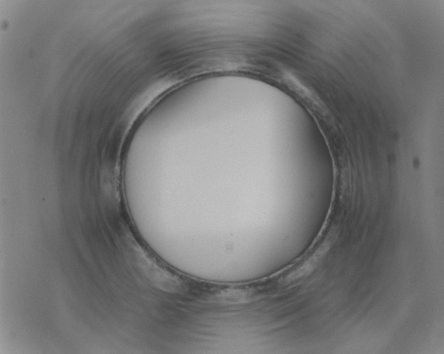 X0000074311178200609081935