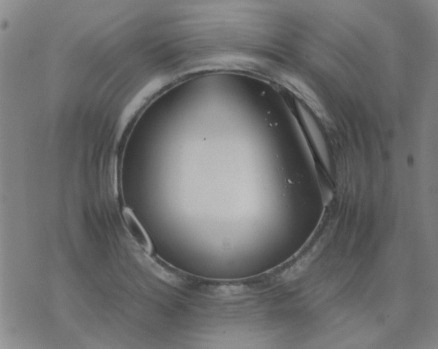 X0000074311180200609081935