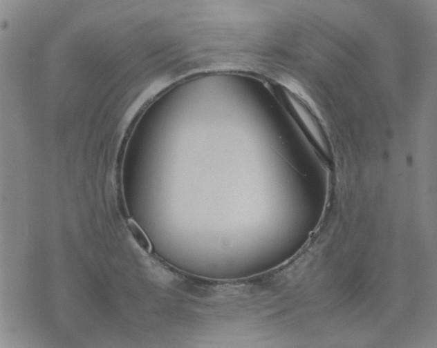 X0000074311181200609081934