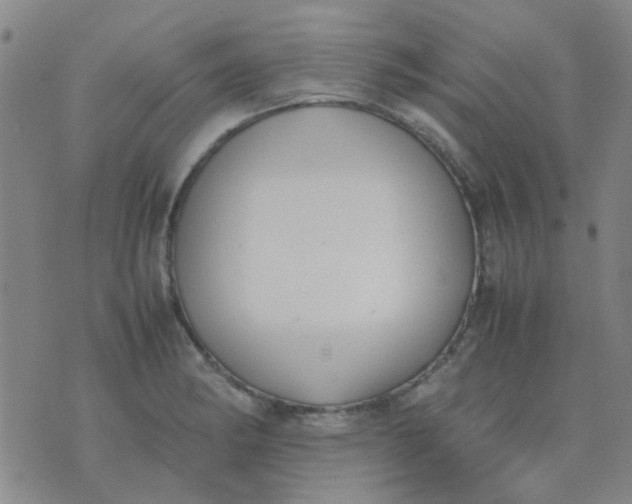 X0000074311182200609081934