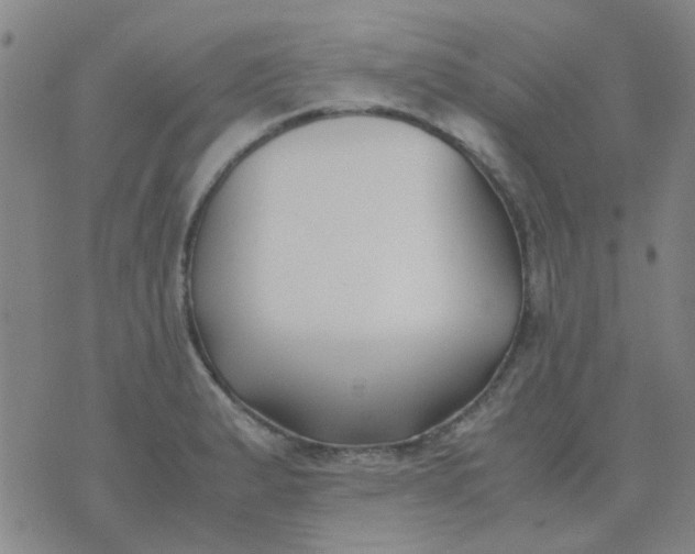 X0000074311183200609081934