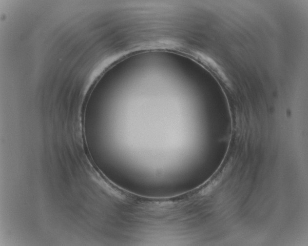 X0000074311184200609081934