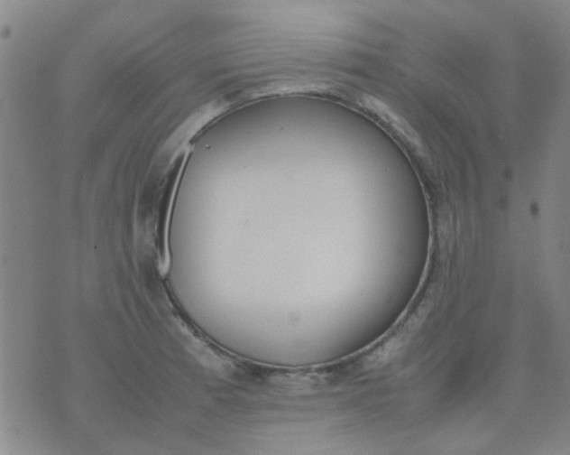 X0000074311185200609081934