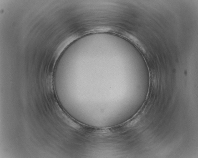 X0000074311186200609081934