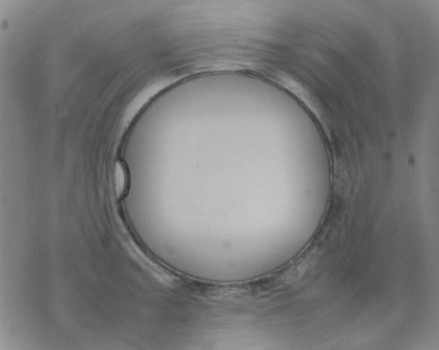 X0000074311187200609081934