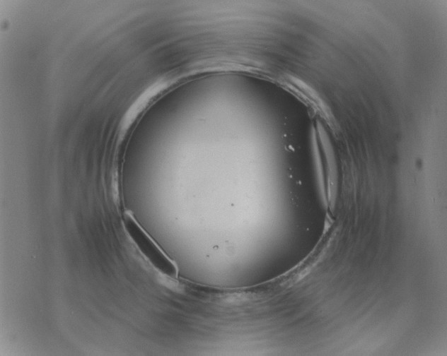 X0000074311188200609081934