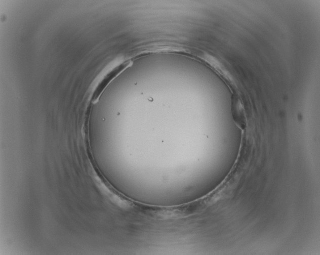 X0000074311189200609081934