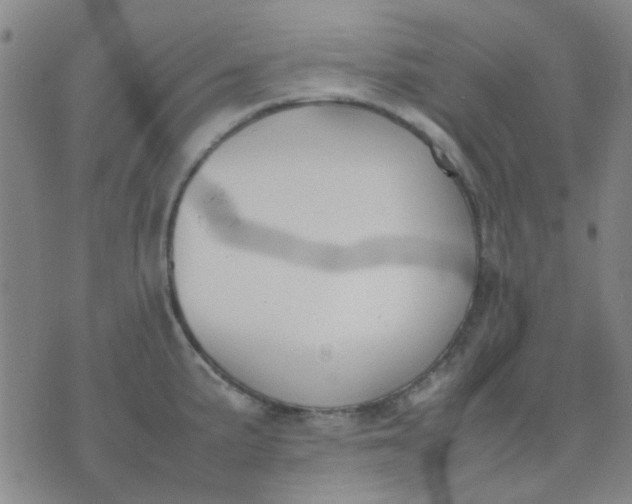 X0000074311191200609081934