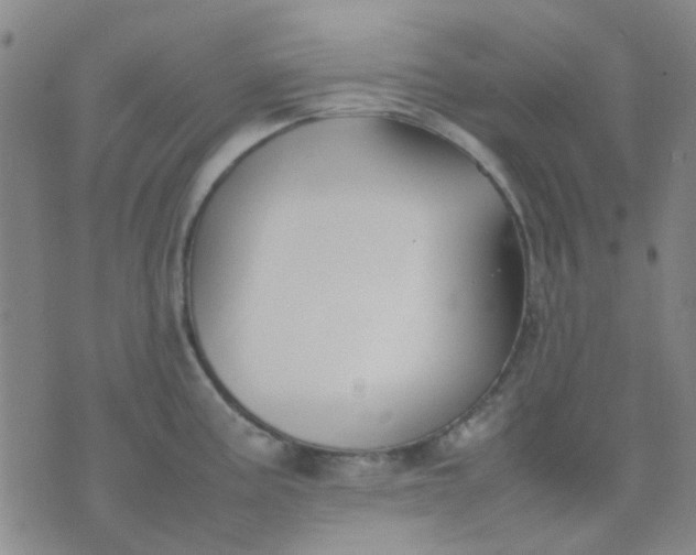 X0000074311195200609081934