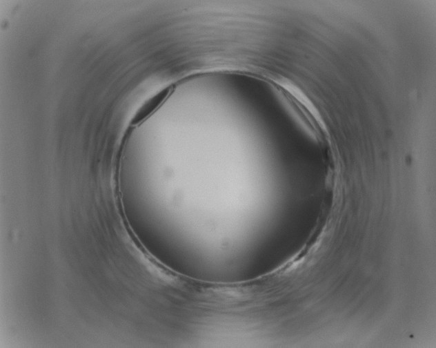 X0000074311197200609081934