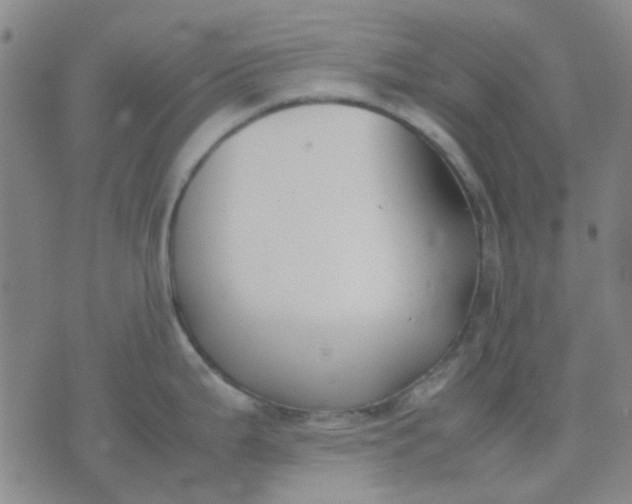 X0000074311199200609081934