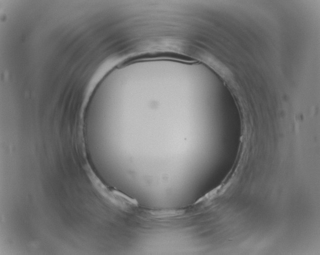 X0000074311200200609081934