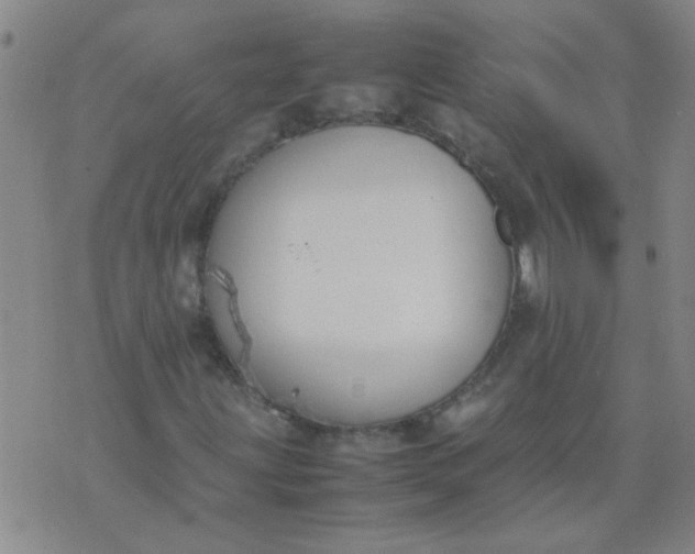 X0000074311203200609081933