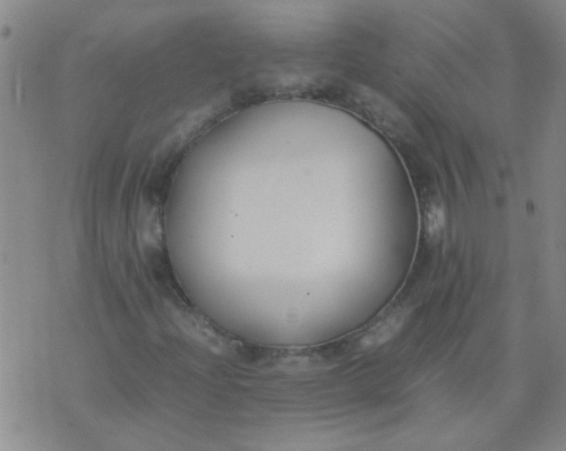 X0000074311204200609081933