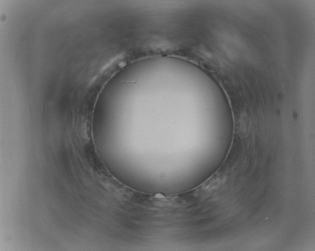 X0000074311205200609081933