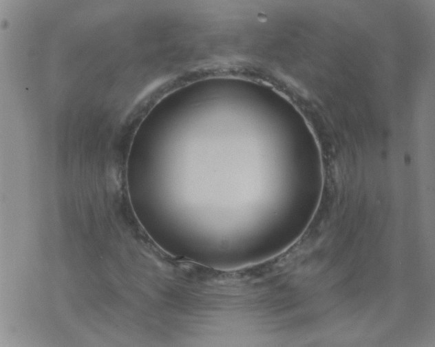 X0000074311206200609081933